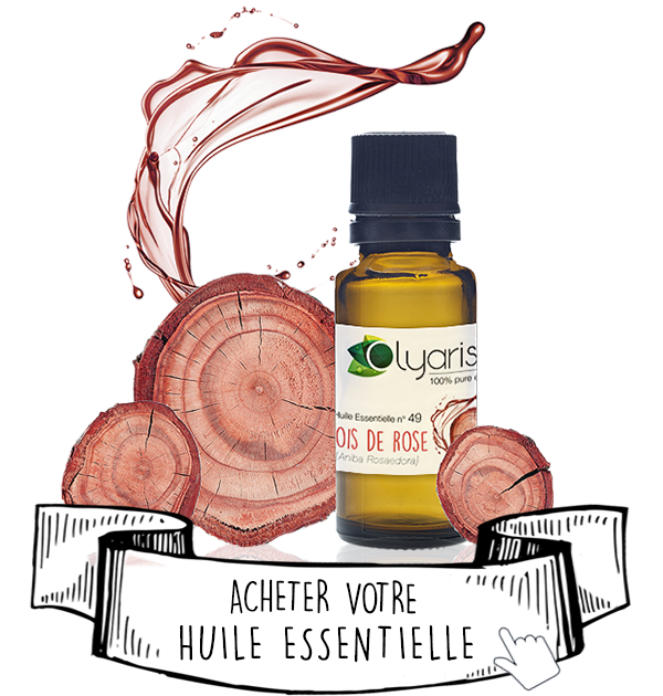 Huile Essentielle de Bois de Rose : Le Guide d'Utilisation et d'achat - Olyaris